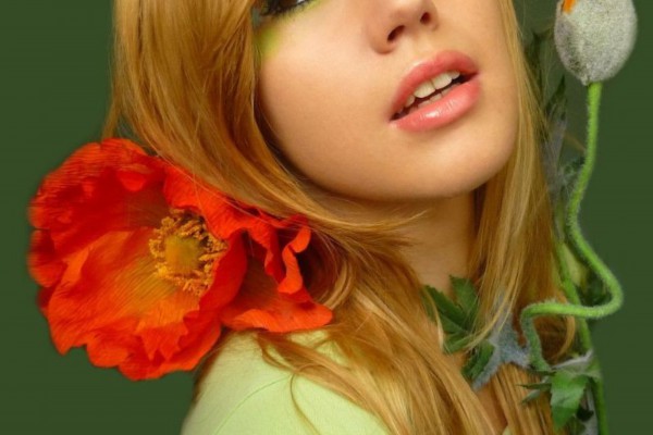 王不留行耳贴,助你轻松解决耳部问题 王不留行耳贴,助你轻松解决耳部问题